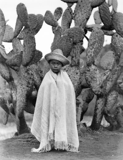 Junge vor einem Kaktus, Bundesstaat Veracruz, Mexiko, 1927 (Schwarz-Weiß-Foto) von Tina Modotti